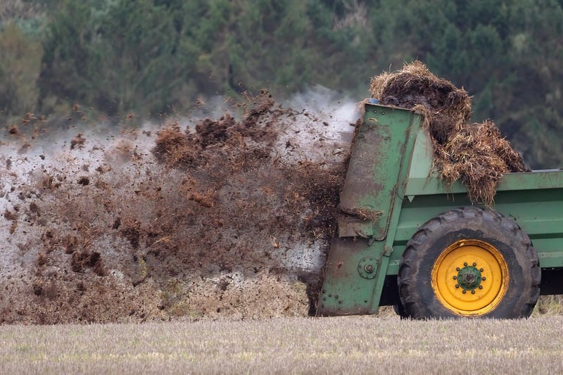 Synthetic Fertilizer